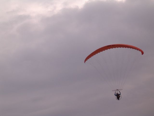 IMGP2914.jpg