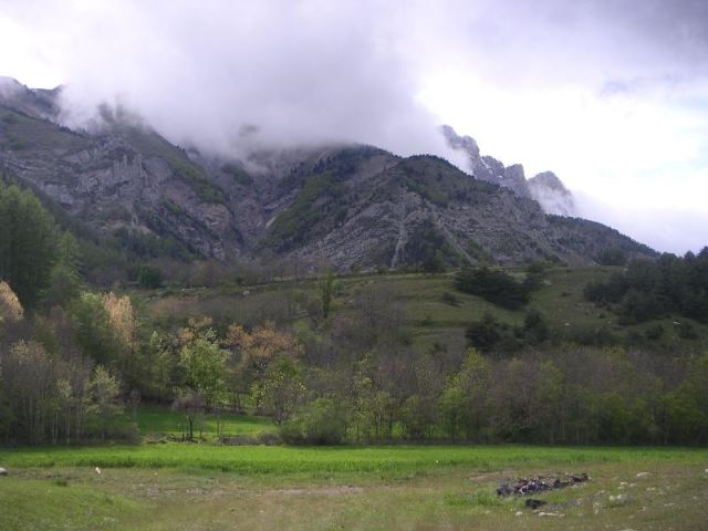 PICT0009.jpg