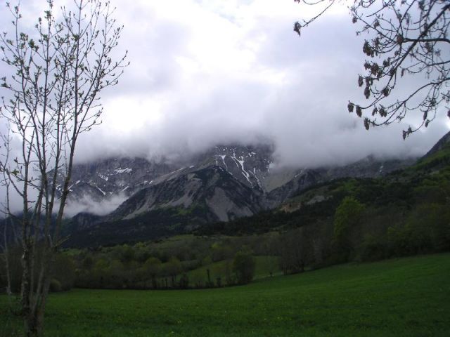 PICT0011.jpg