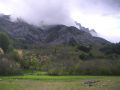 PICT0009.jpg