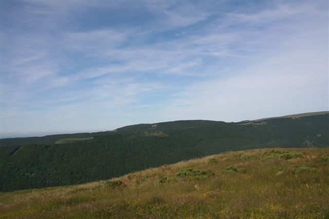 paysage.jpg