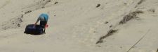 Dune du Pyla 20080612