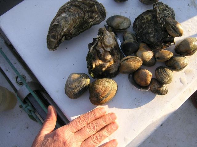 photo.jpg