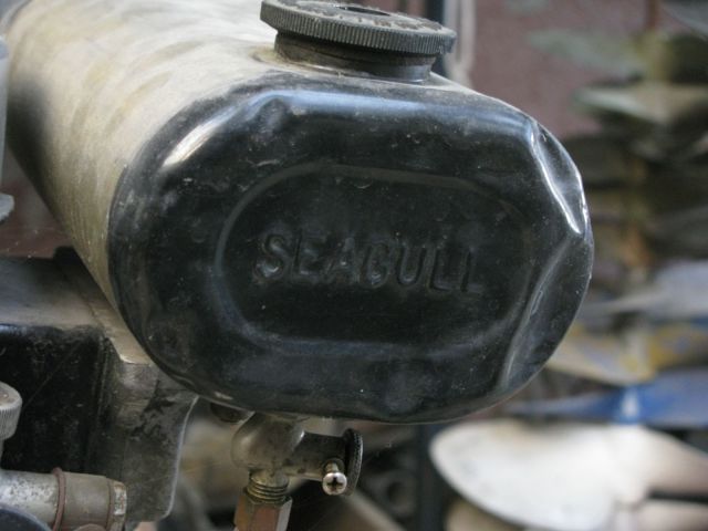 Seagull-2.jpg