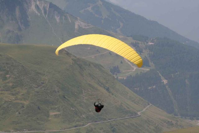pic6.jpg