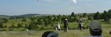 zebre